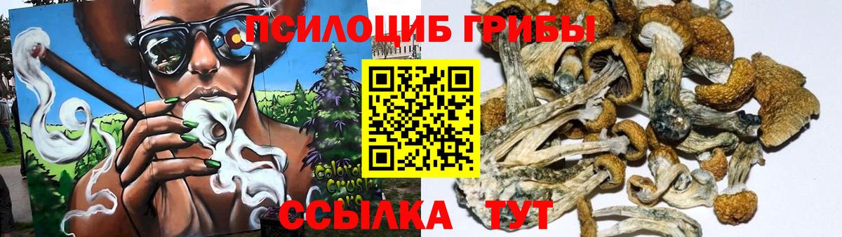 Барнаул  купить наркотик  Вход с VPN  Галлюциногенные грибы Psilocybine cubensis  Галлюциногенные грибы прущие грибы 